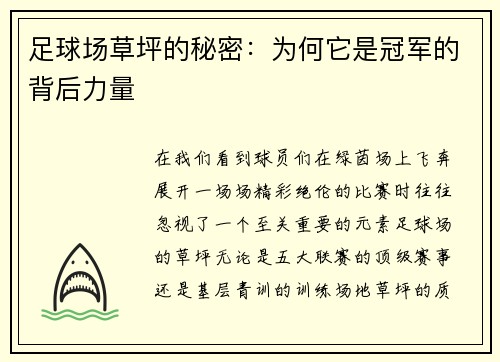 足球场草坪的秘密：为何它是冠军的背后力量