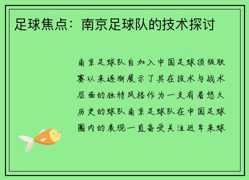 足球焦点：南京足球队的技术探讨