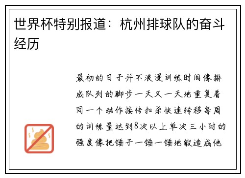 世界杯特别报道：杭州排球队的奋斗经历