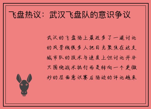 飞盘热议：武汉飞盘队的意识争议