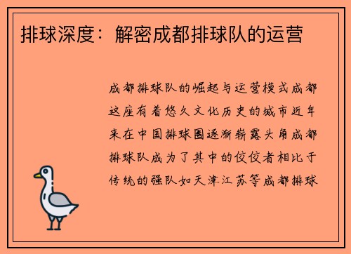 排球深度：解密成都排球队的运营